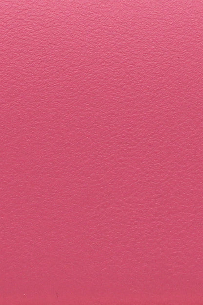 Eva Bag in Hot Pink