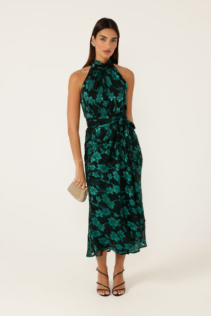 Sacha Drake Aveline Midi Dress - Emerald/Black COMING SOON