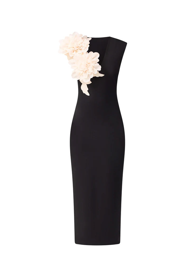 Elliatt Zahara Gown - Black/Cream