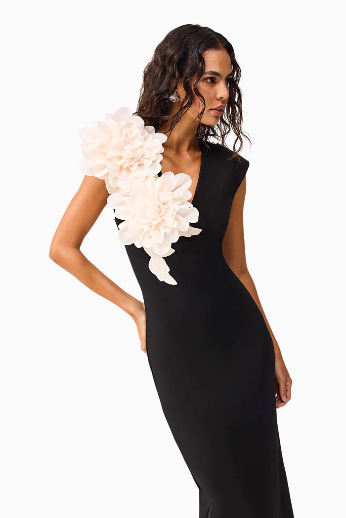 Elliatt Zahara Gown - Black/Cream