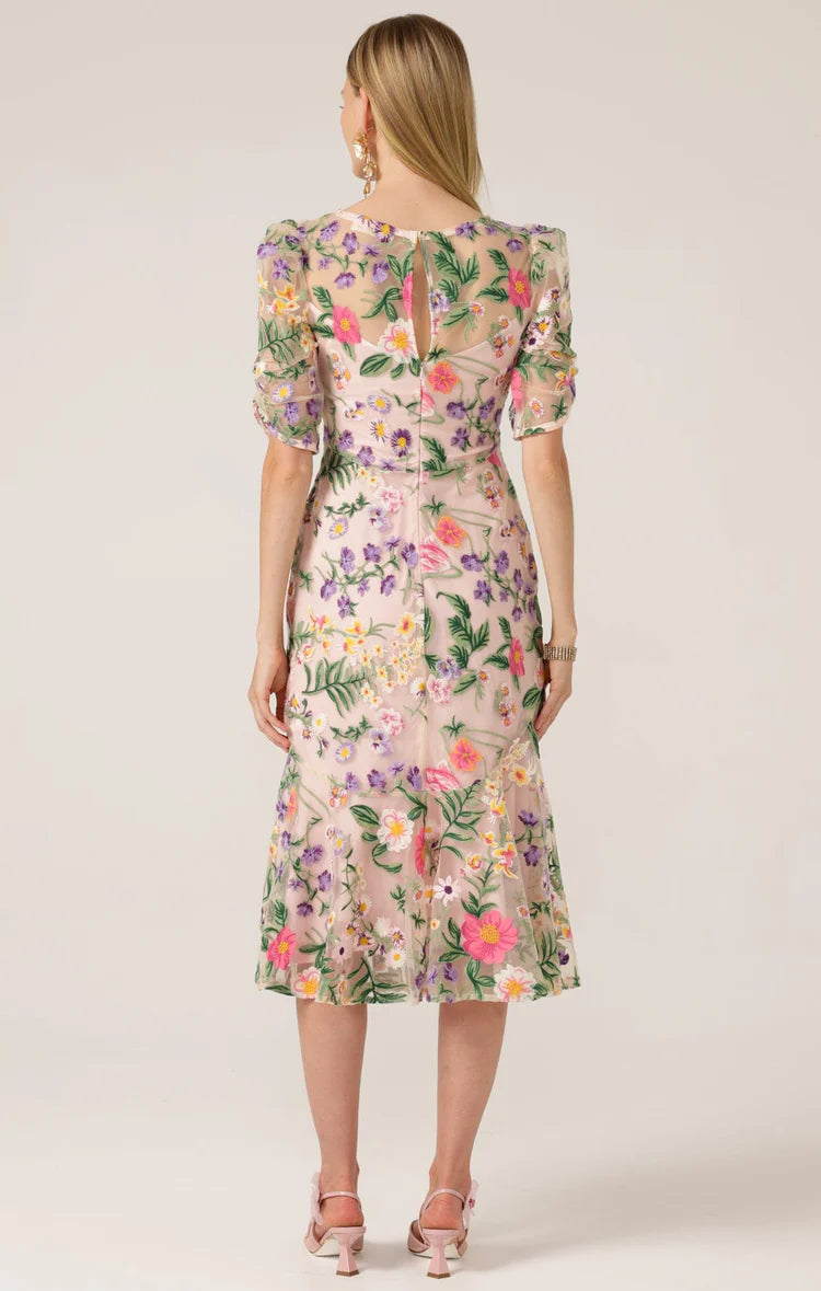 Sacha Drake Cardelina Dress